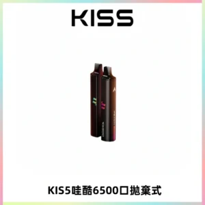 KIS5WAGOO哇酷6500口拋棄式 | 自由混搭雙口味 | 雙芯組合