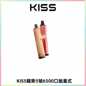KIS5鎧斯5號一次性6500口磁吸式拋棄式電子煙#自由混搭#